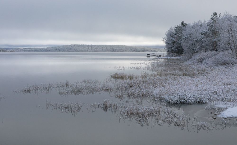 Suomen Lappi