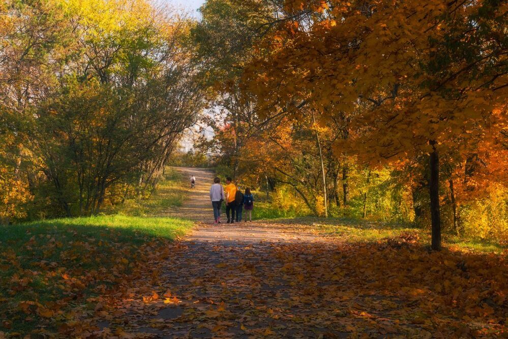 Великолепие октябрьских аллей