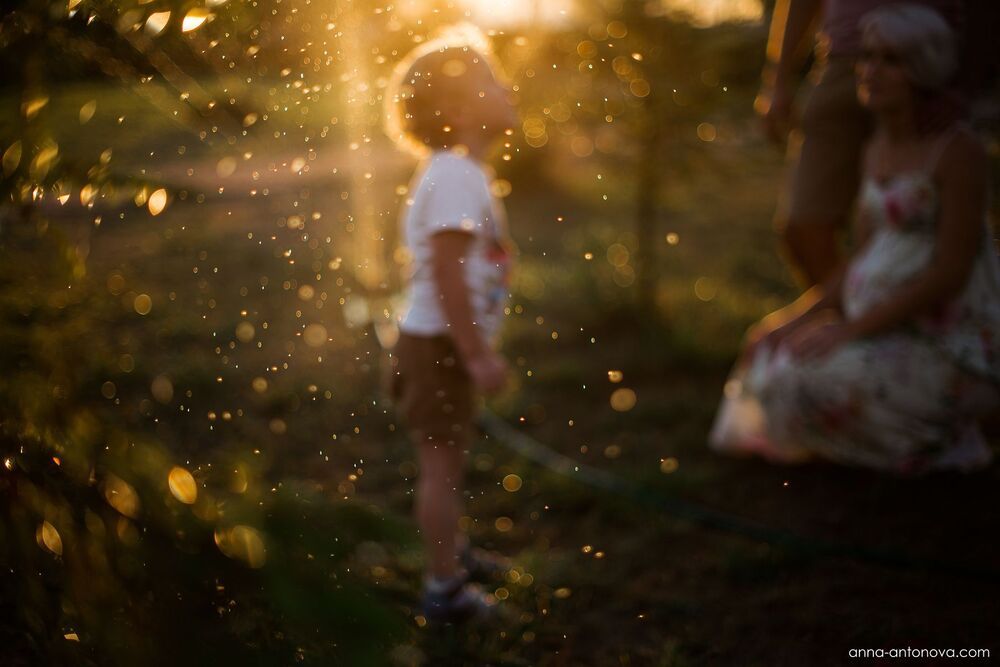Golden Evening