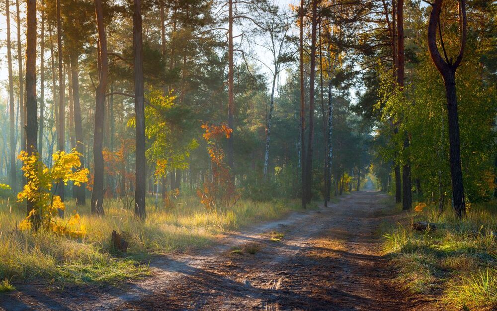 Ясное, тихое утро. Лёгкий дымок перламутра
