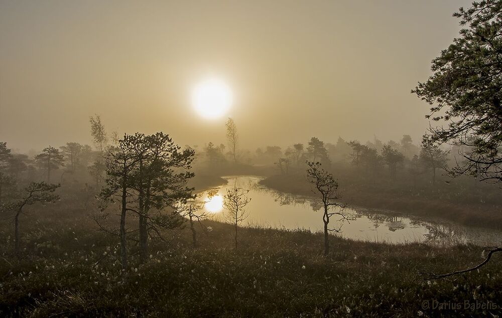 Photo 1357977