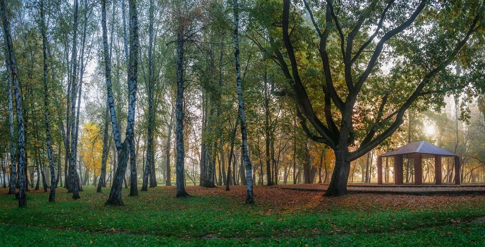 Былины кубанской осени.