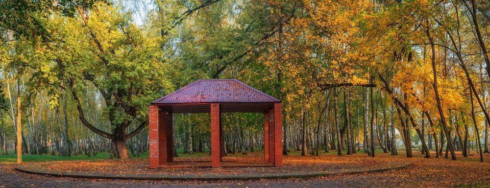Былины кубанской осени.