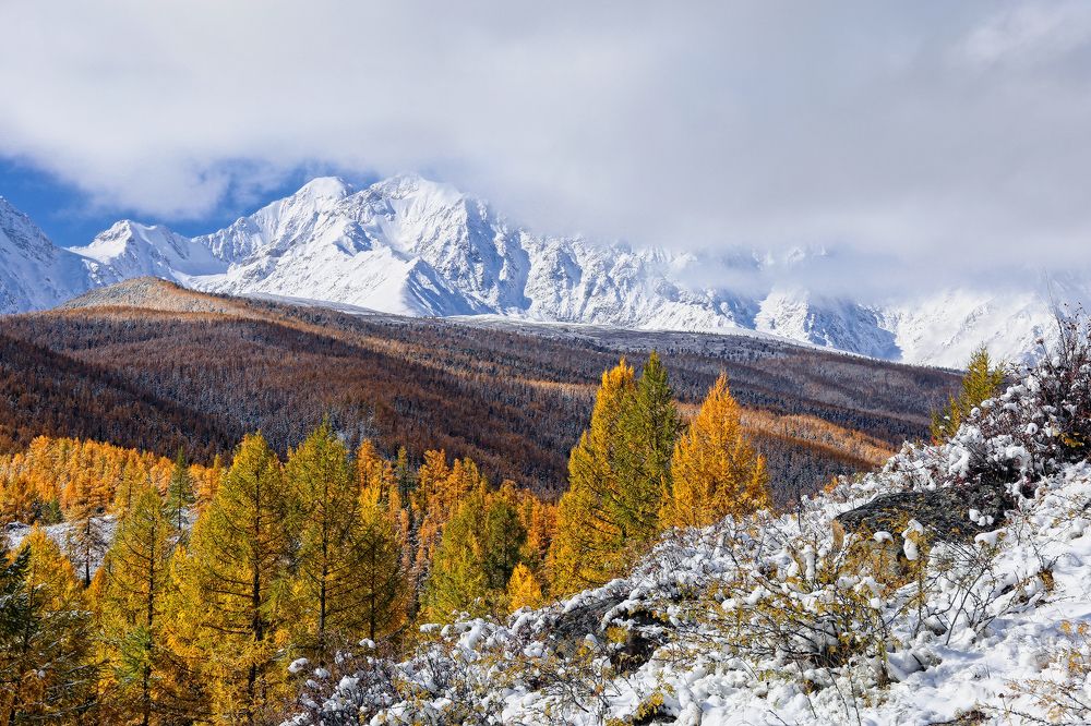 Осенние контрасты