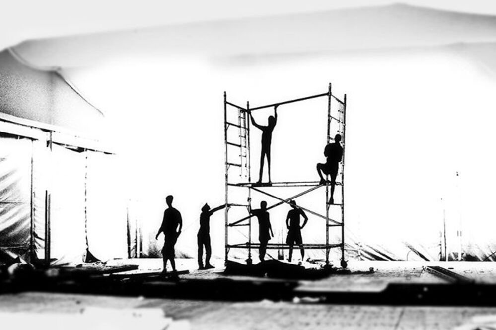 The silhouettes