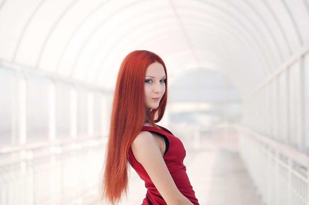 Red Rose