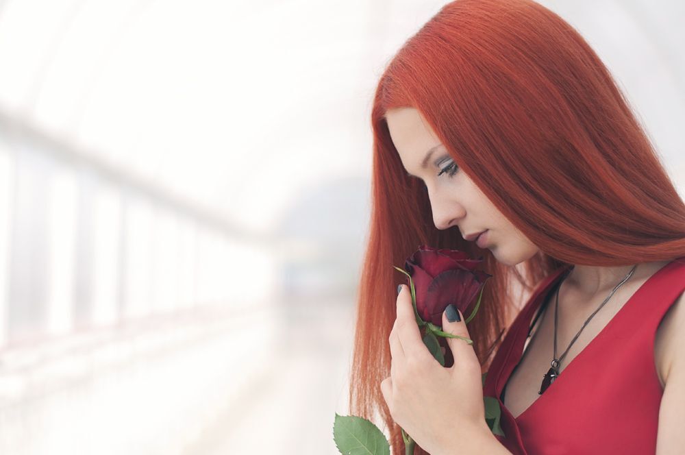 Red Rose