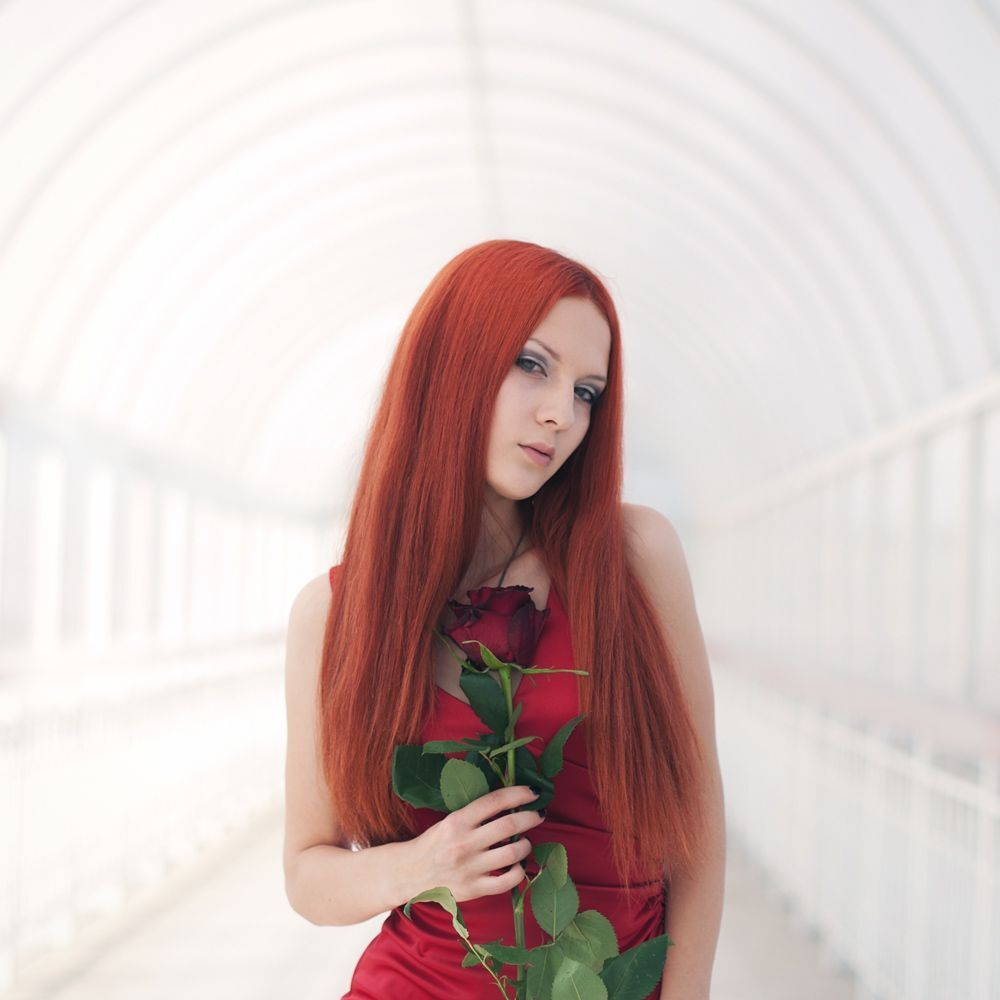 Red Rose