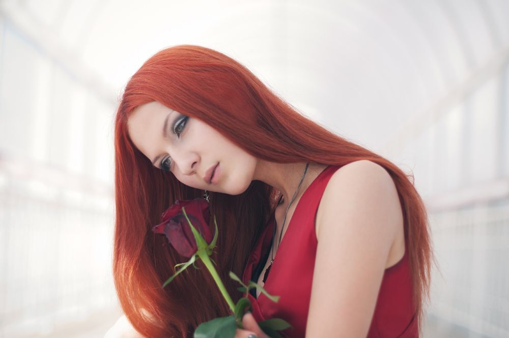 Red Rose