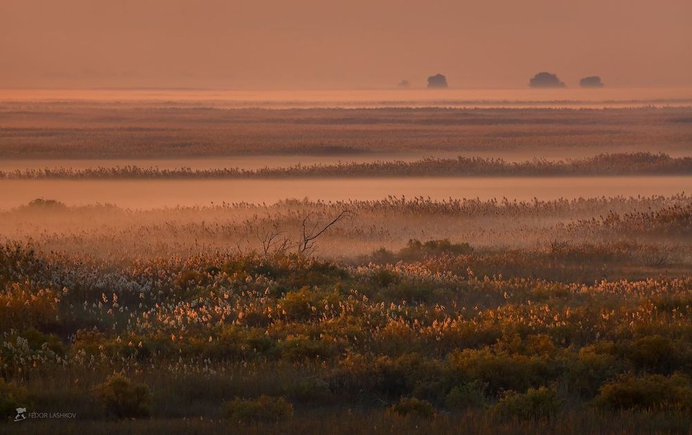 Осенняя фотоэкспедиция по Астраханскому заповеднику