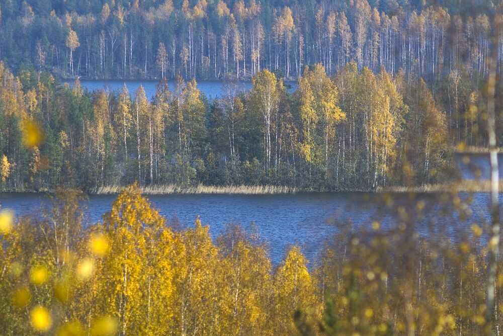 В октябре