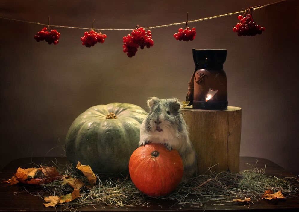 Домовой