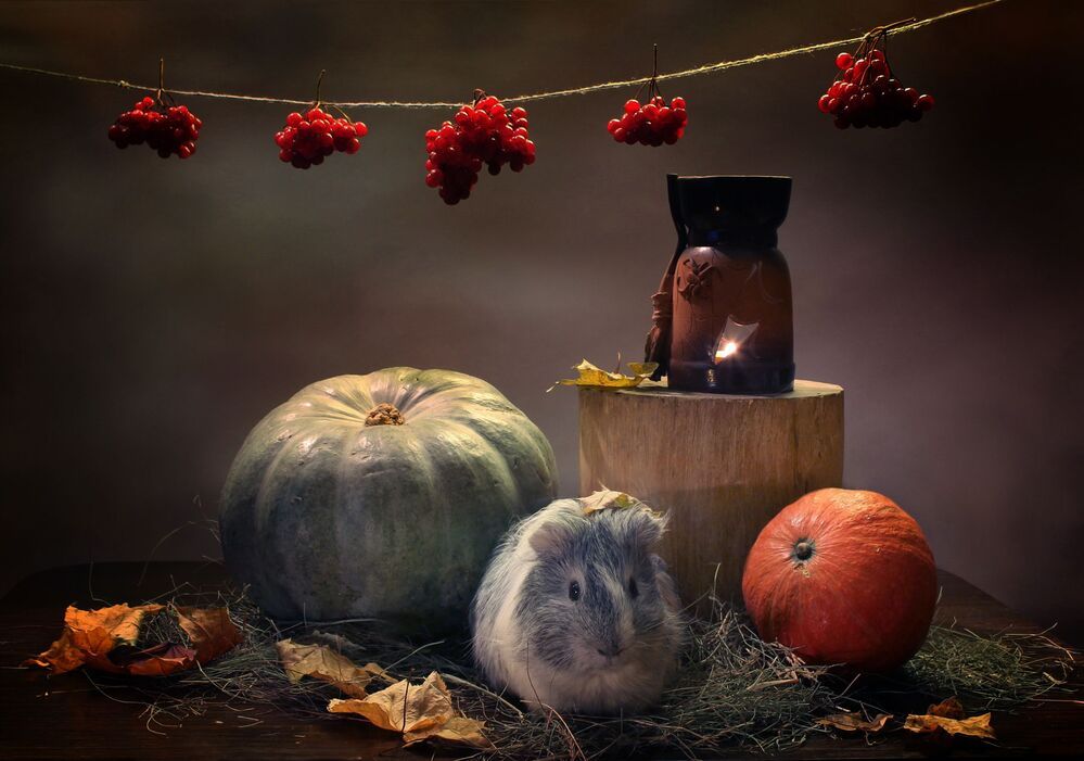Домовой