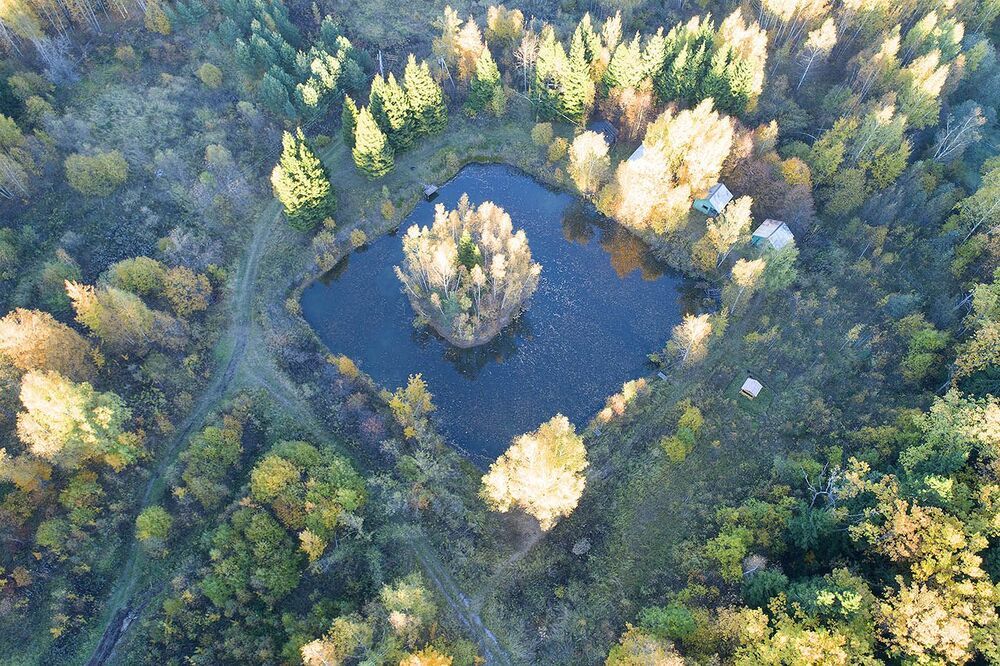 Упражнения в геометрии