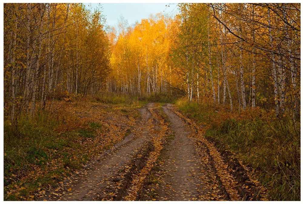 Золотые этюды осени