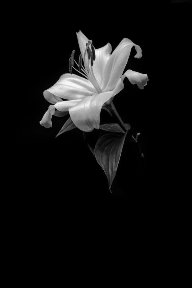 form of flowers
