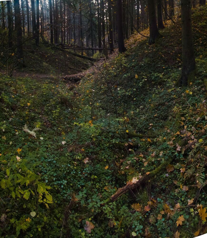 *ОСЕНЬ*