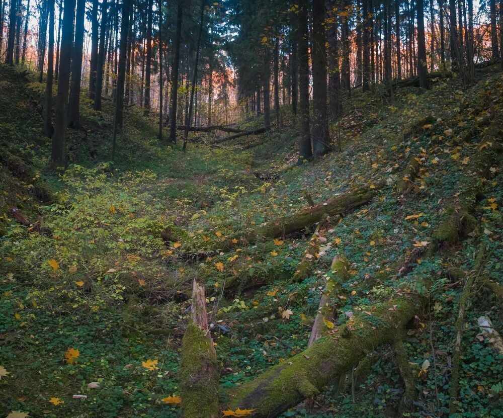 Осенняя тоска