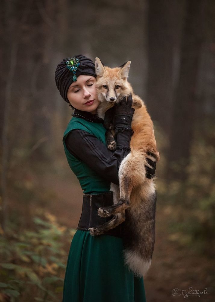 Foxes