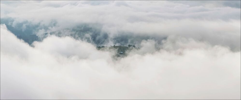 FOG
