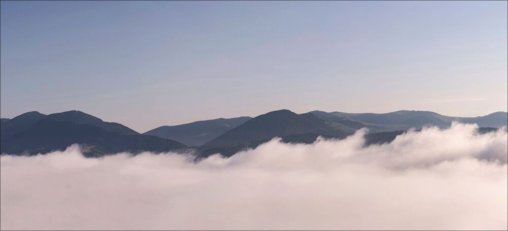 FOG