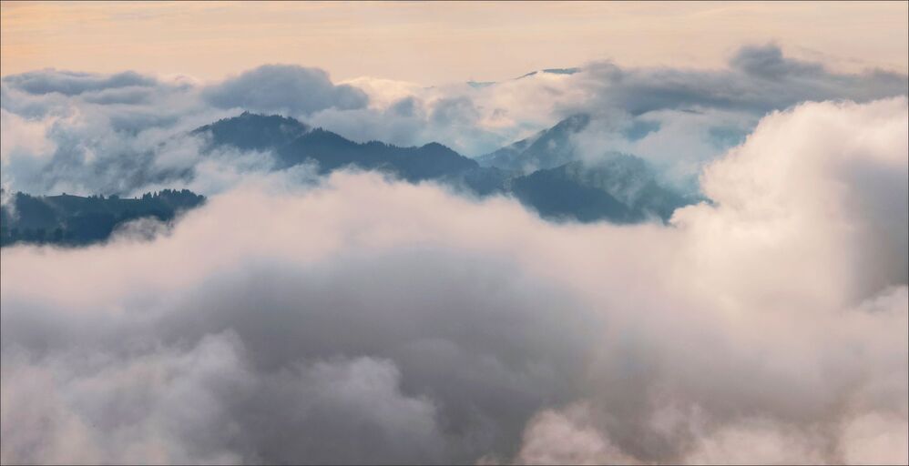 FOG