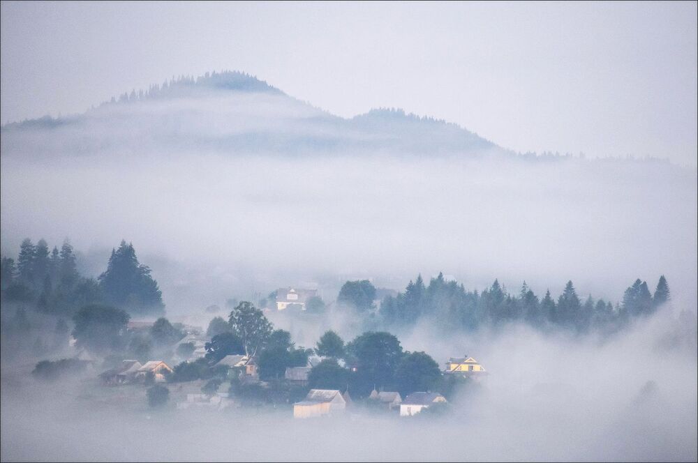 FOG