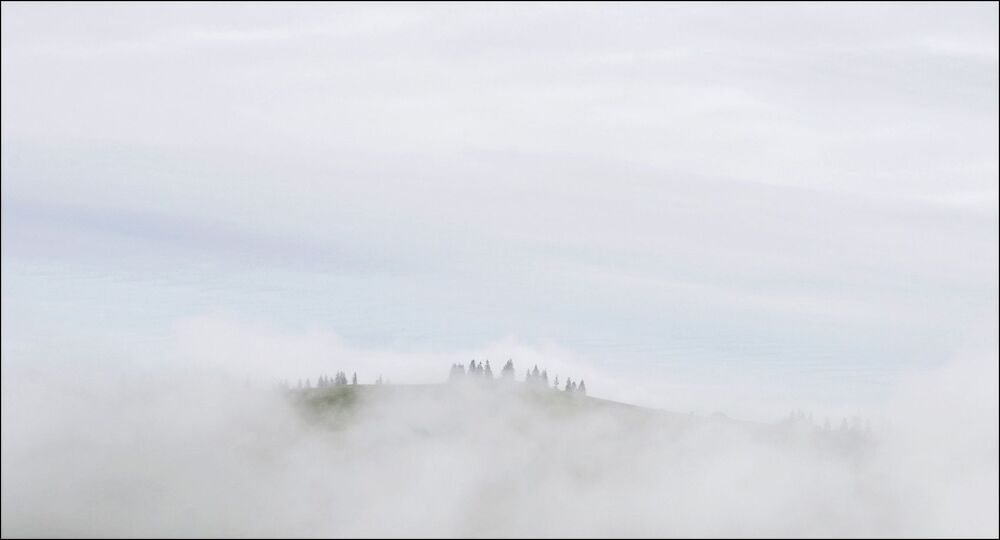 FOG