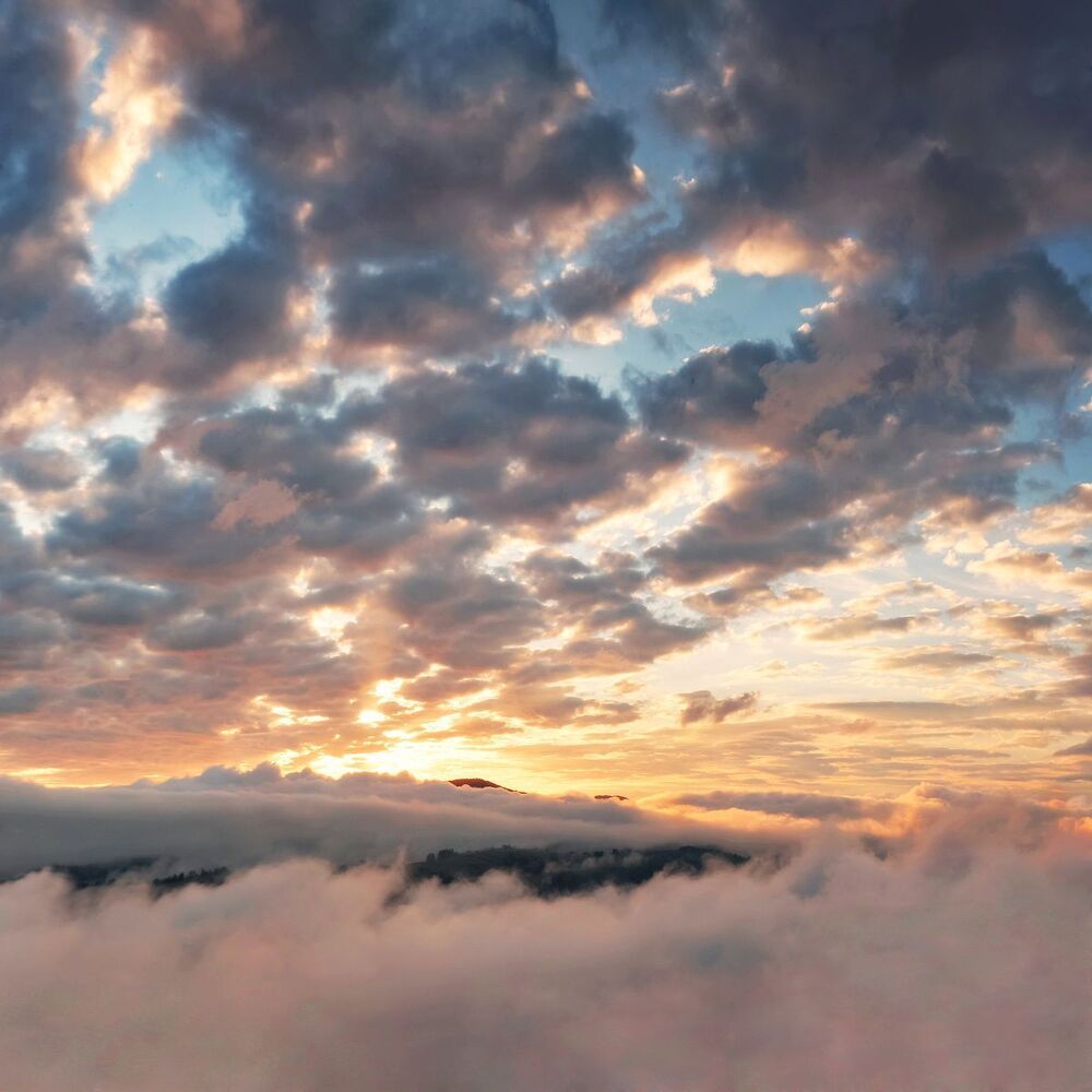 FOG