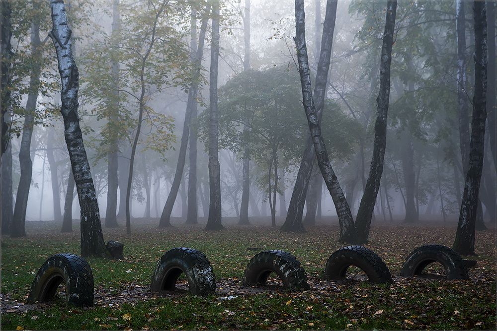 Прогулка в тумане