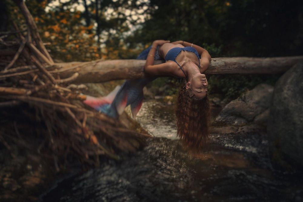 Au fil d'un songe