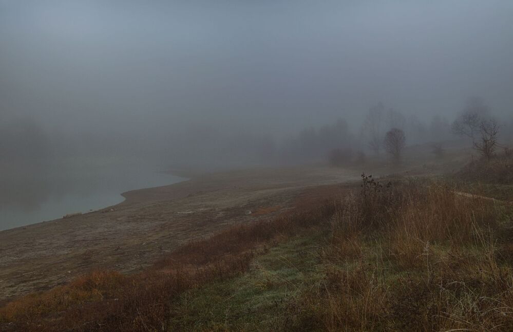 In the fog