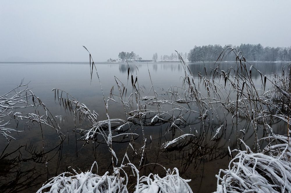 Первоснежное