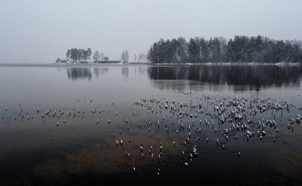 Первоснежное