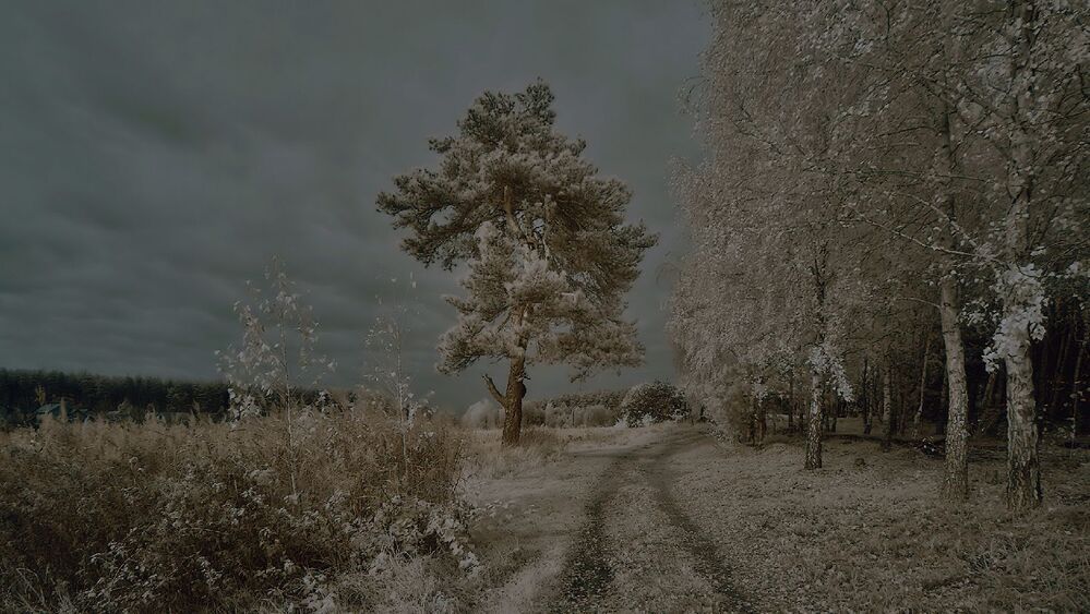 16 : 9