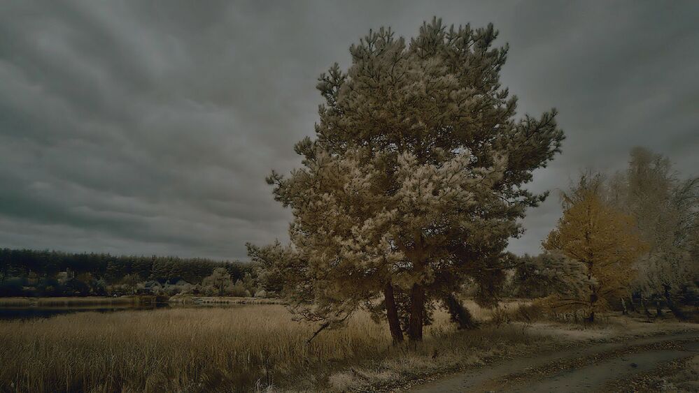 16 : 9