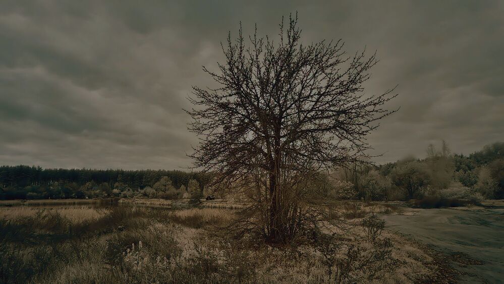 16 : 9