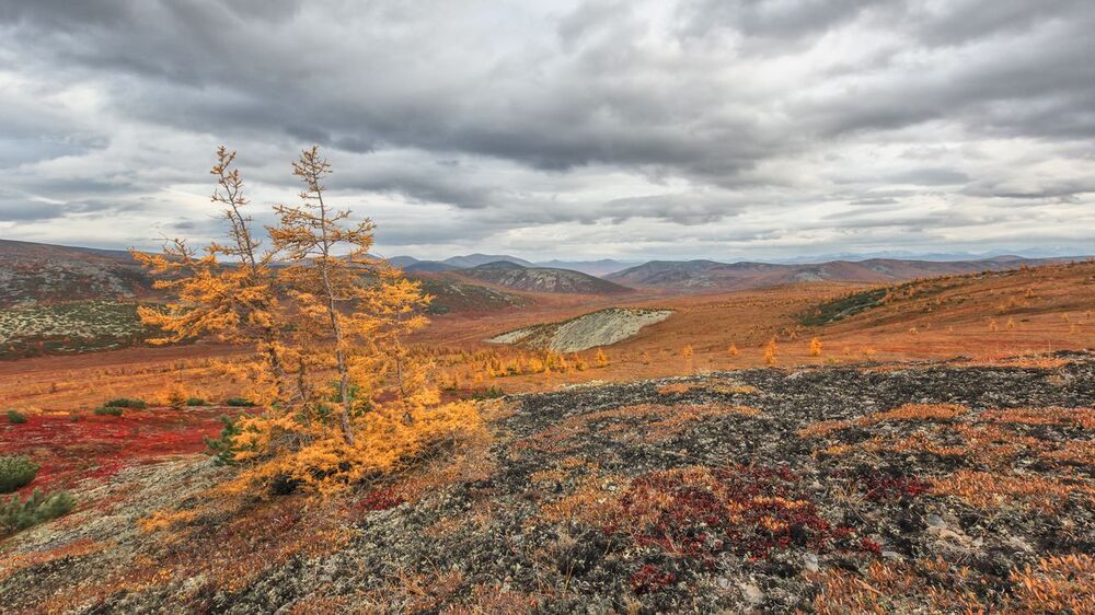 Photo 1369667