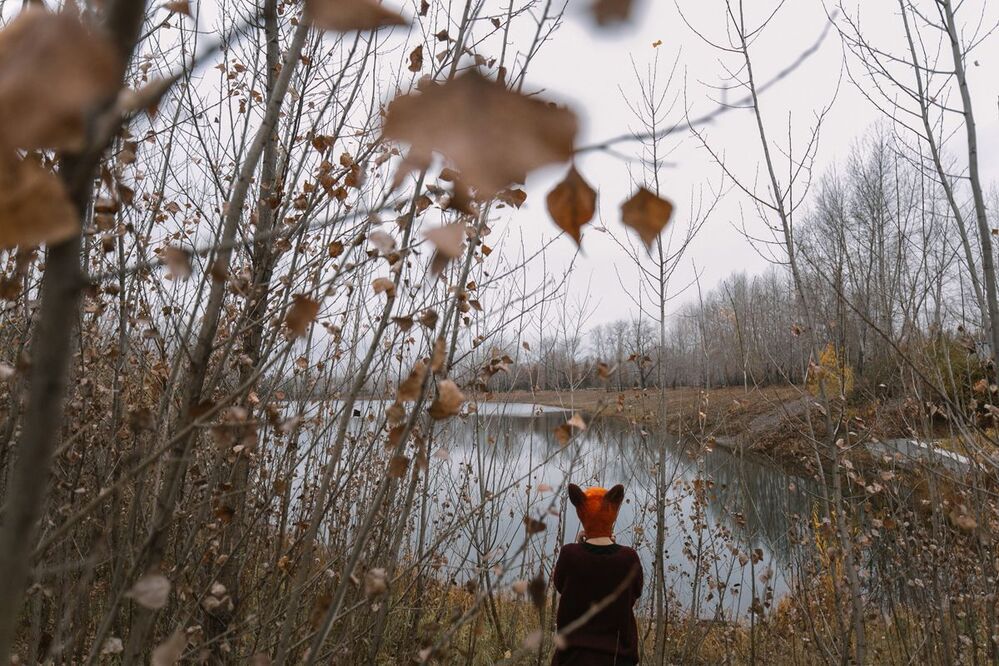 Autumn fox