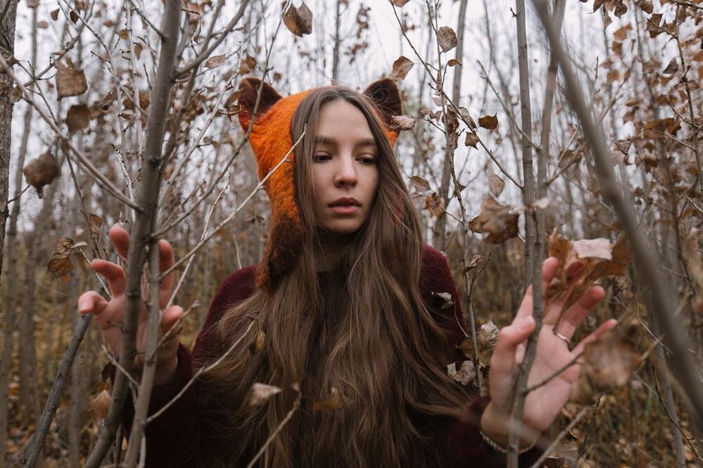 Autumn fox