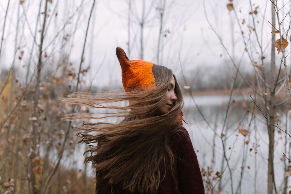 Autumn fox