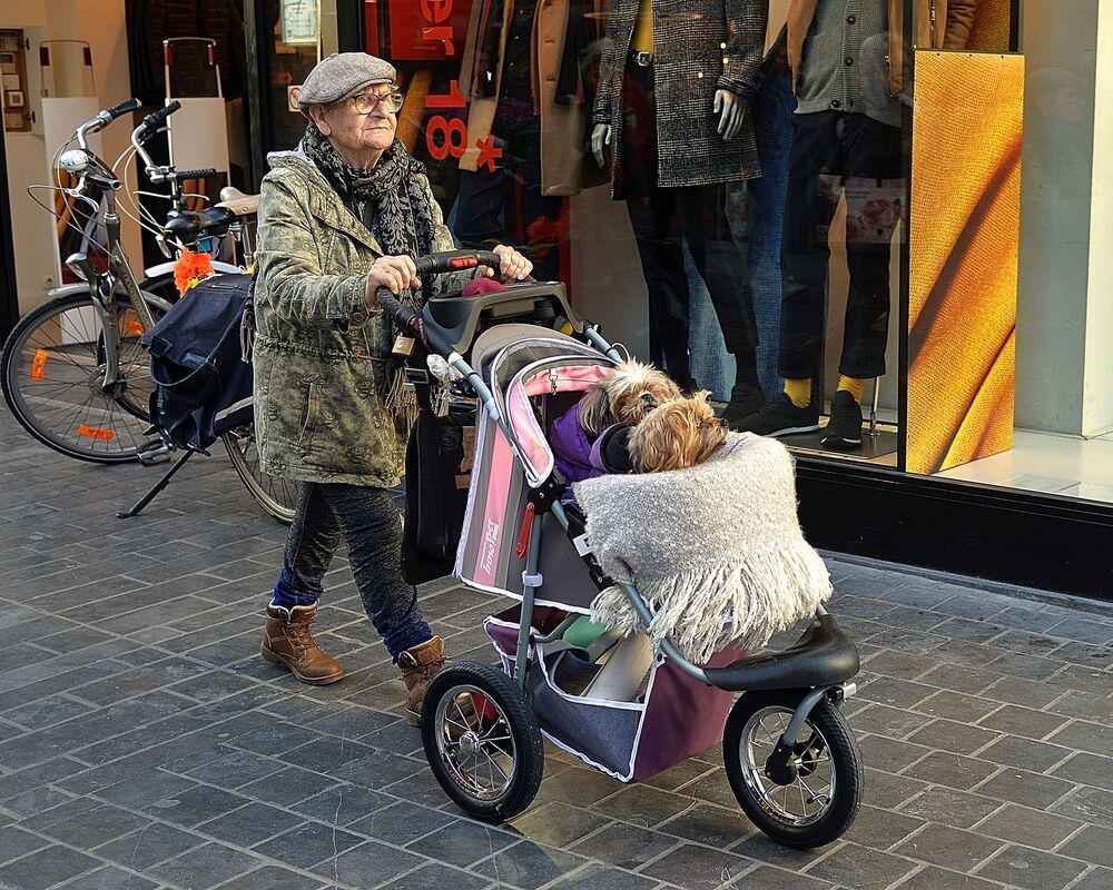 Man and dog.