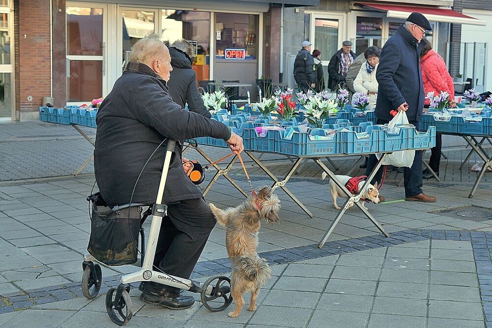 Man and dog.