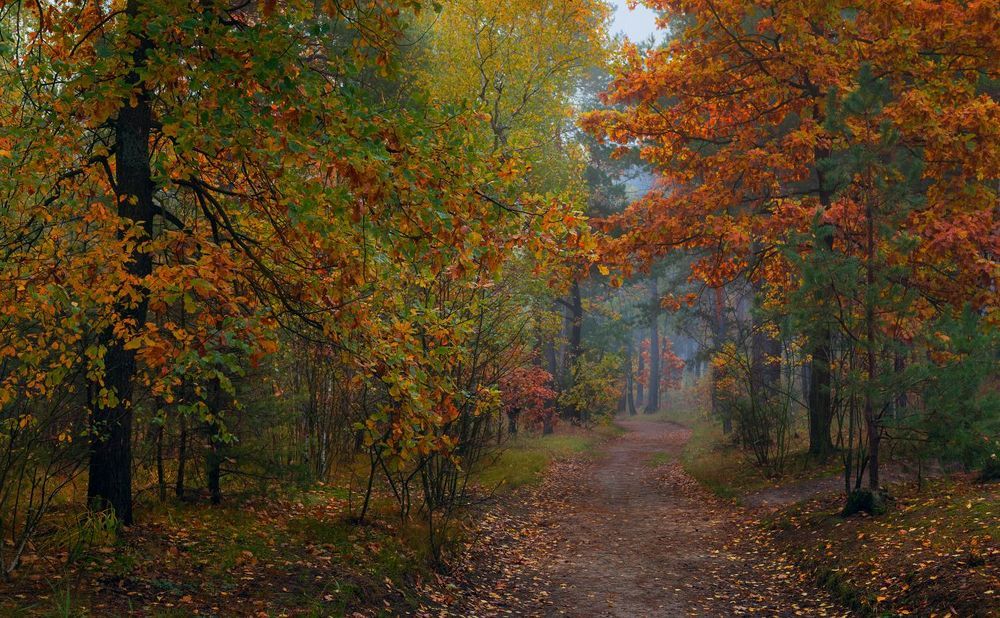 Ситцевая осень