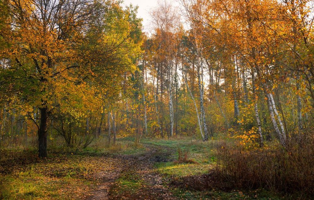 Ситцевая осень