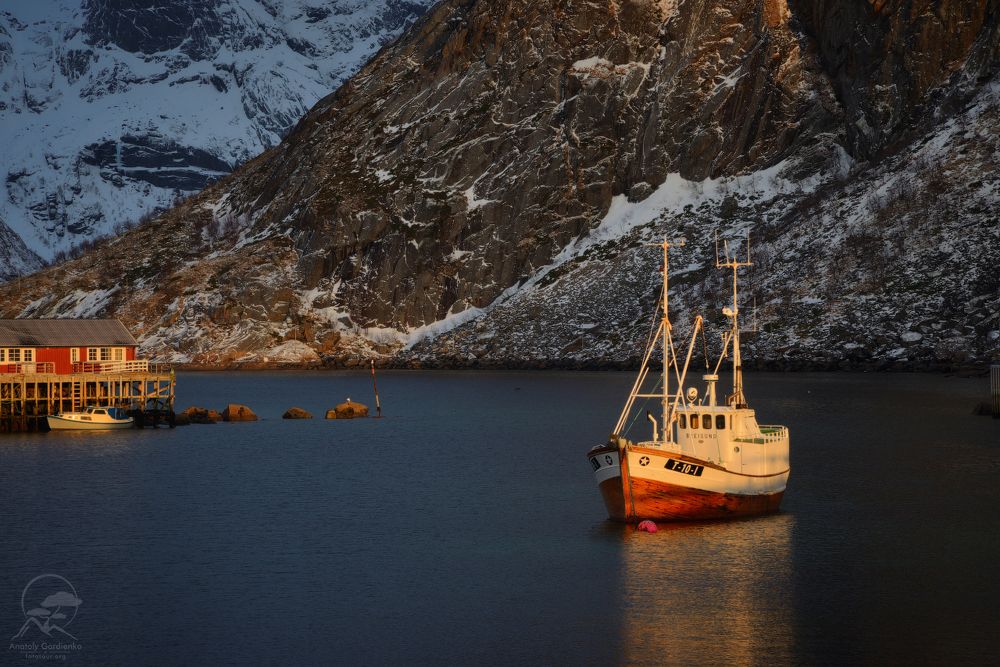 HAMNOY