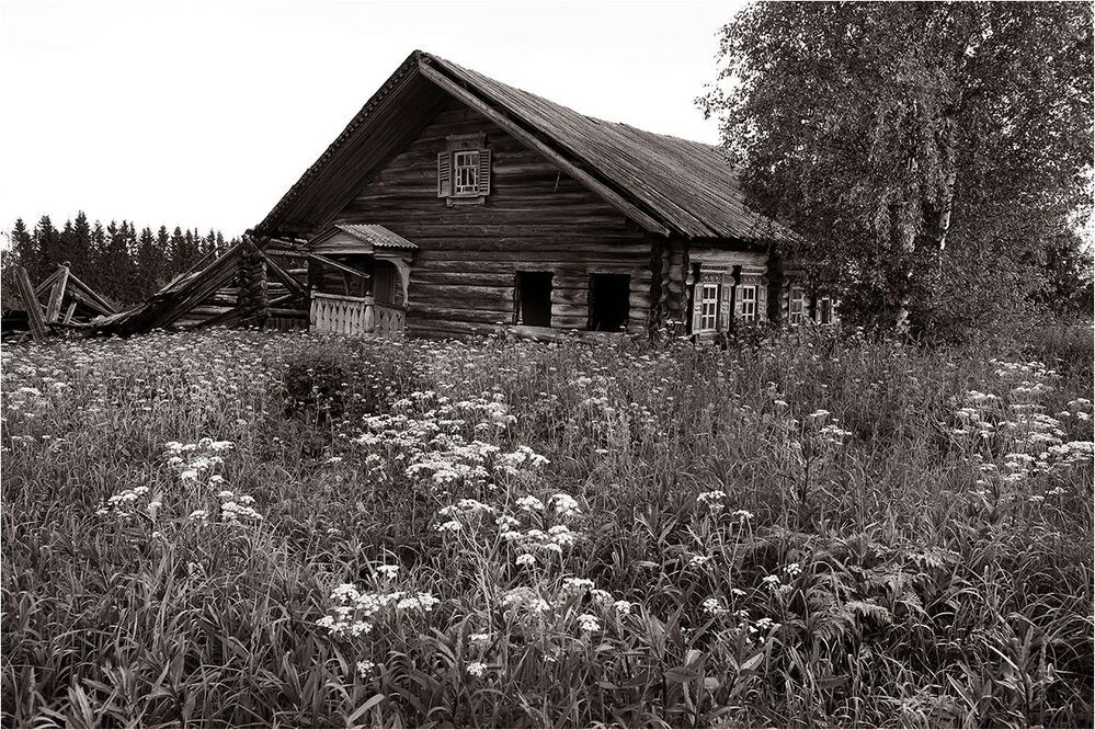 По Каргополью.