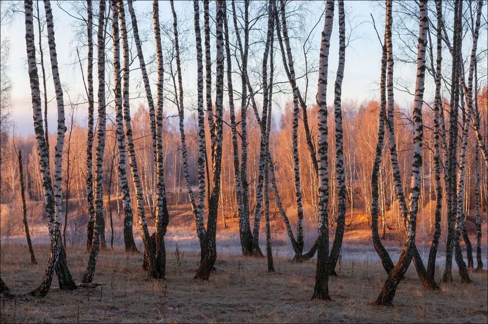 Осенние туманы