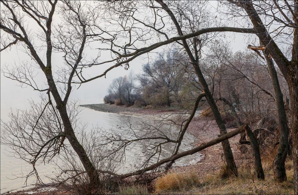 Холодным утром у затуманенного водохранилища