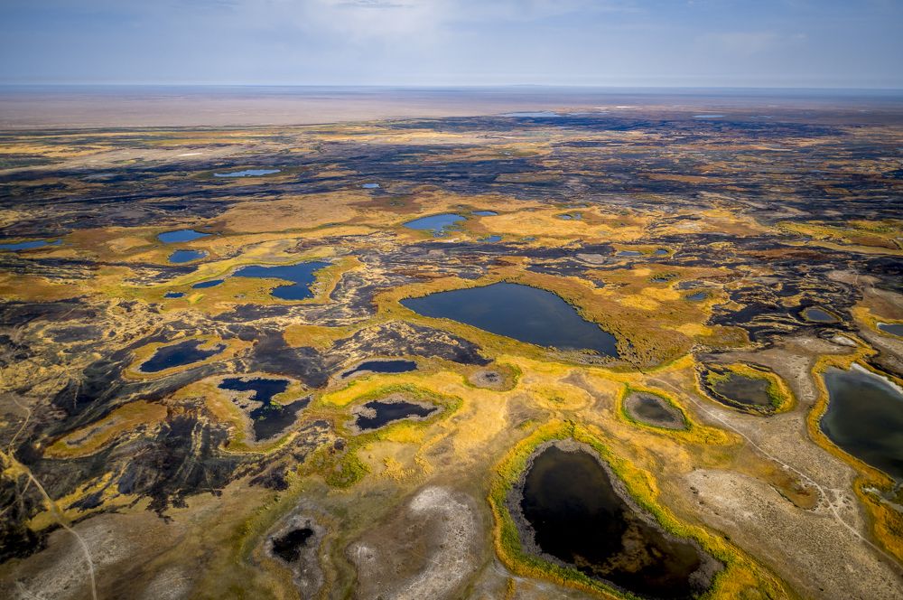 Осень здесь очень контрастная и красивая